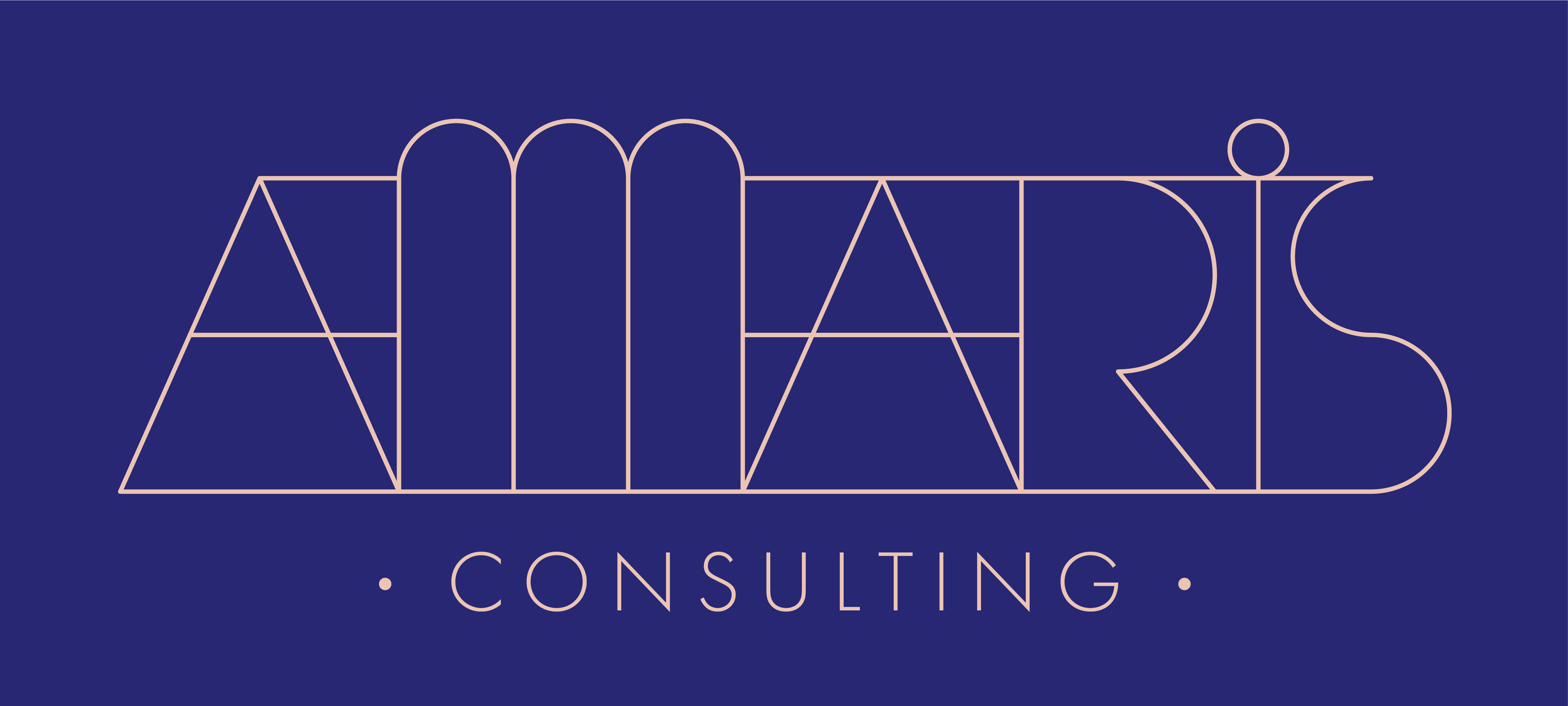 [HCM] Công Ty Amaris Consulting Tuyển Dụng Thực Tập Sinh Tuyển Dụng Full-time 2025