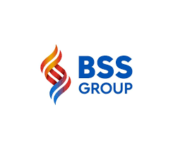 Công Ty Công Nghệ BSS Group Main Logo